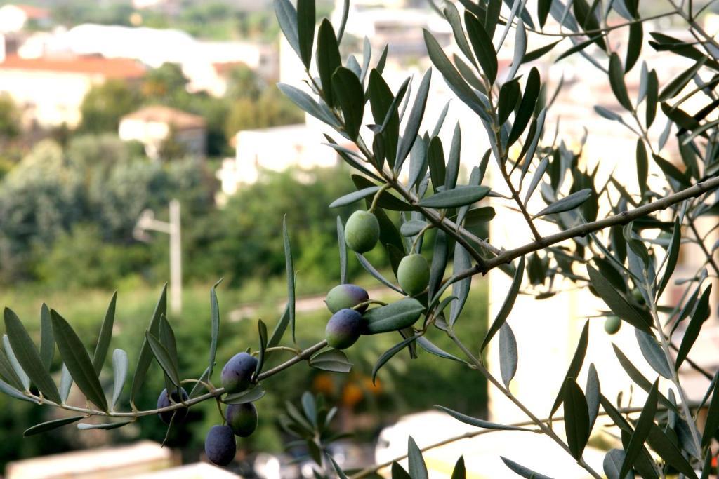 M Suites Sorrento Buitenkant foto